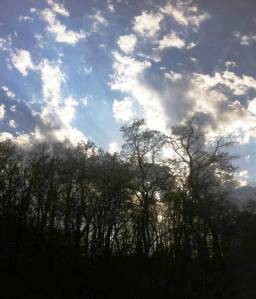 More views from my window.