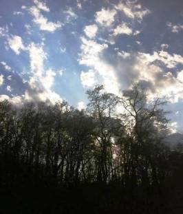 More views from my window.